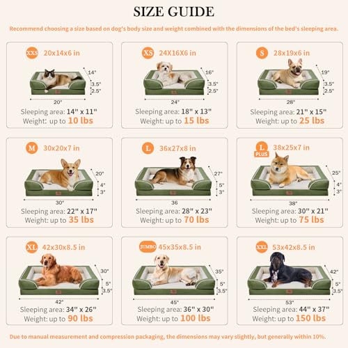 Orthopedic Dog Bed for Extra Large Dogs with Bolster (45.0"L x 35.0"W x 8.5"Th / Light Green)