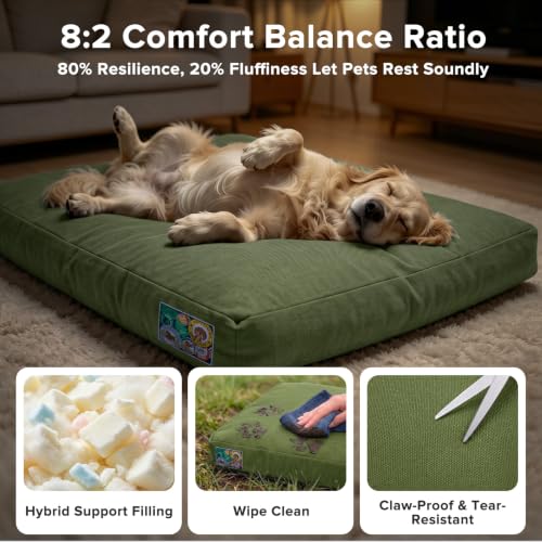 Chew Proof Indestructible Dog Bed for Large Dogs (Green / XXL(47"x 30"x4"))