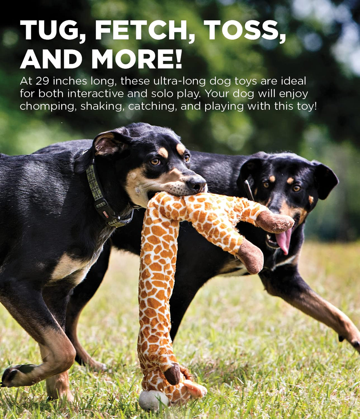 by Charming Pet Longidudes Giraffe Plush & Squeaky Dog Tug Toy