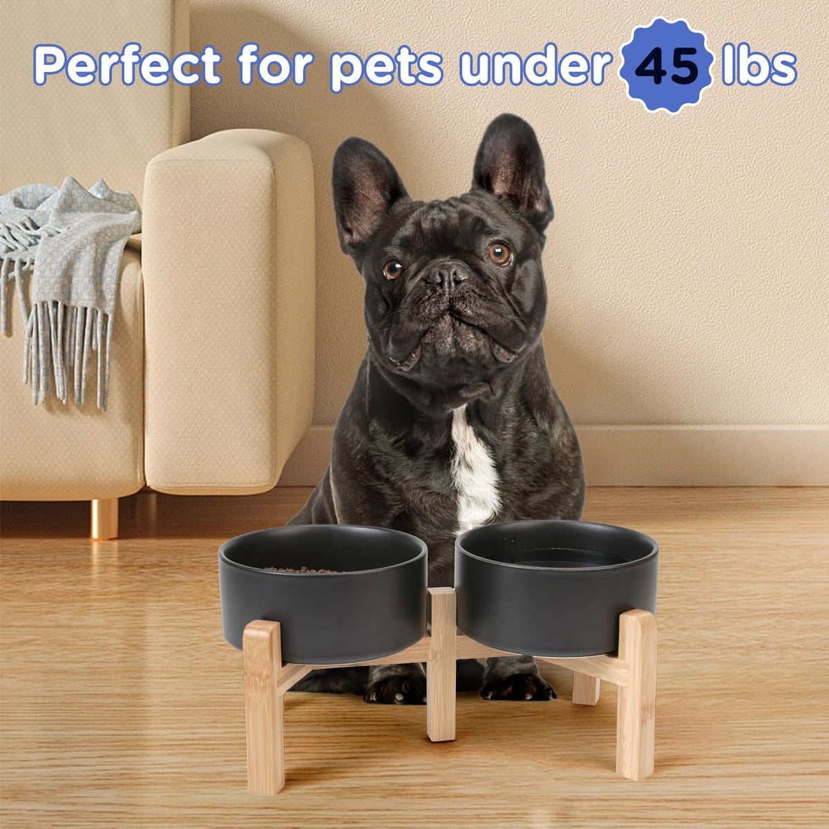 Elevated Dog Bowls Ceramic (6.1 in - 3.6 cups / Black)
