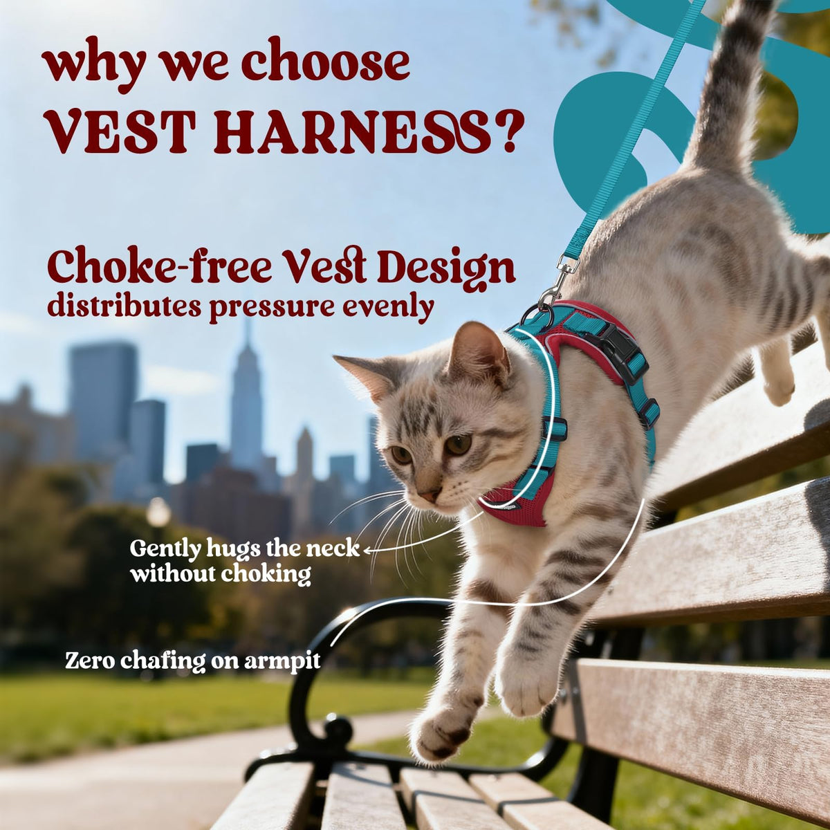Cat Harness and Leash Set (Xs / Red & Teal)