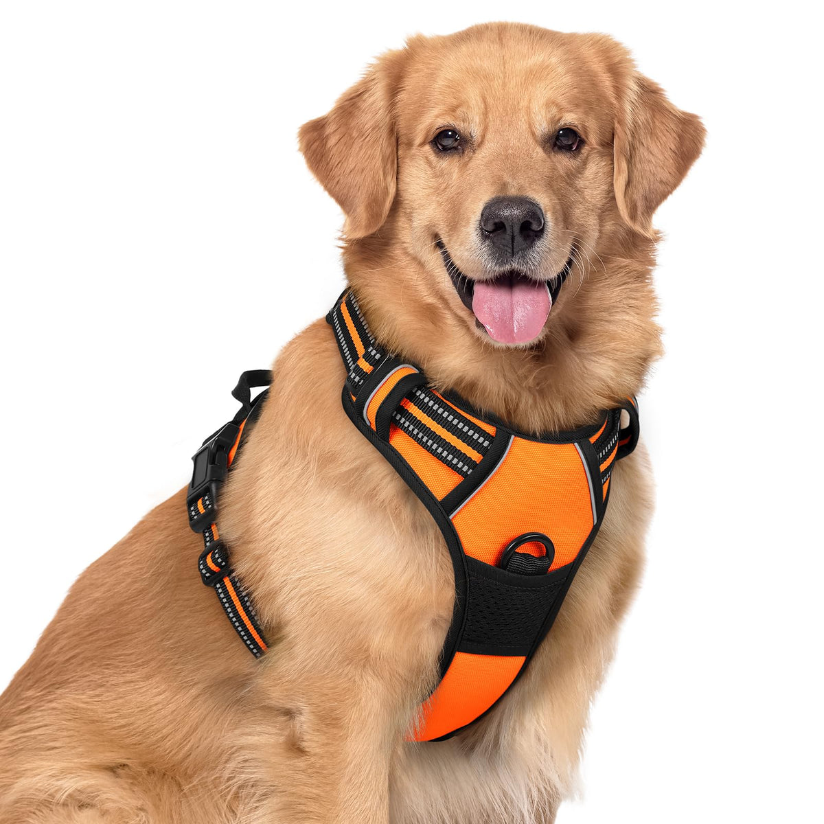 Dog Harness No Pull for Large Dogs with 2 Leash Clips (X-Large / Orange)