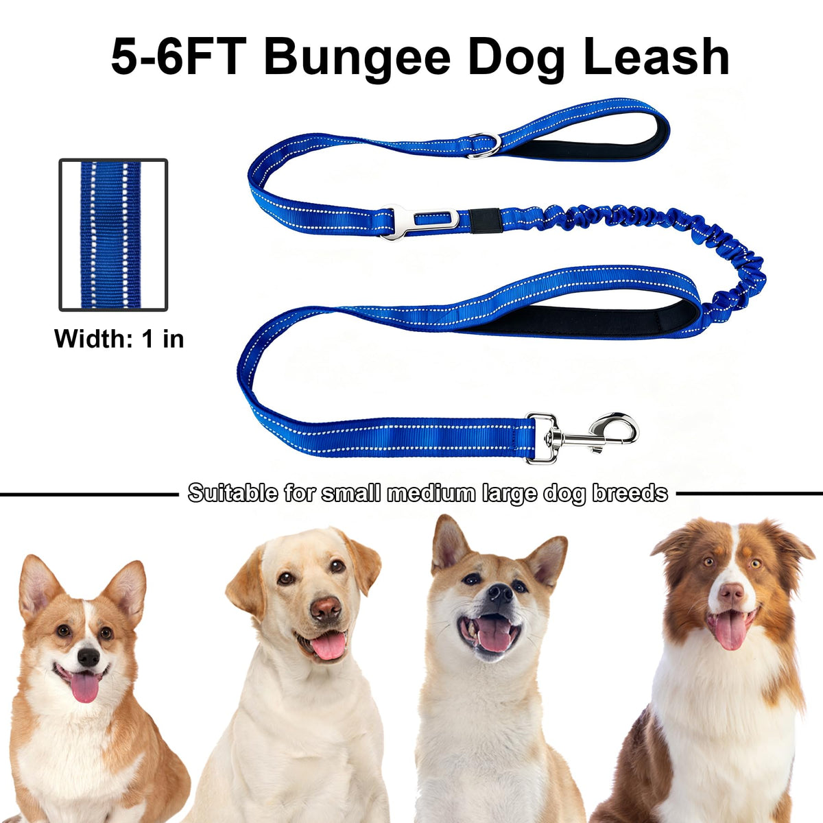 Bungee Dog Leash 5FT (Royal Blue / 5FT-6FT)