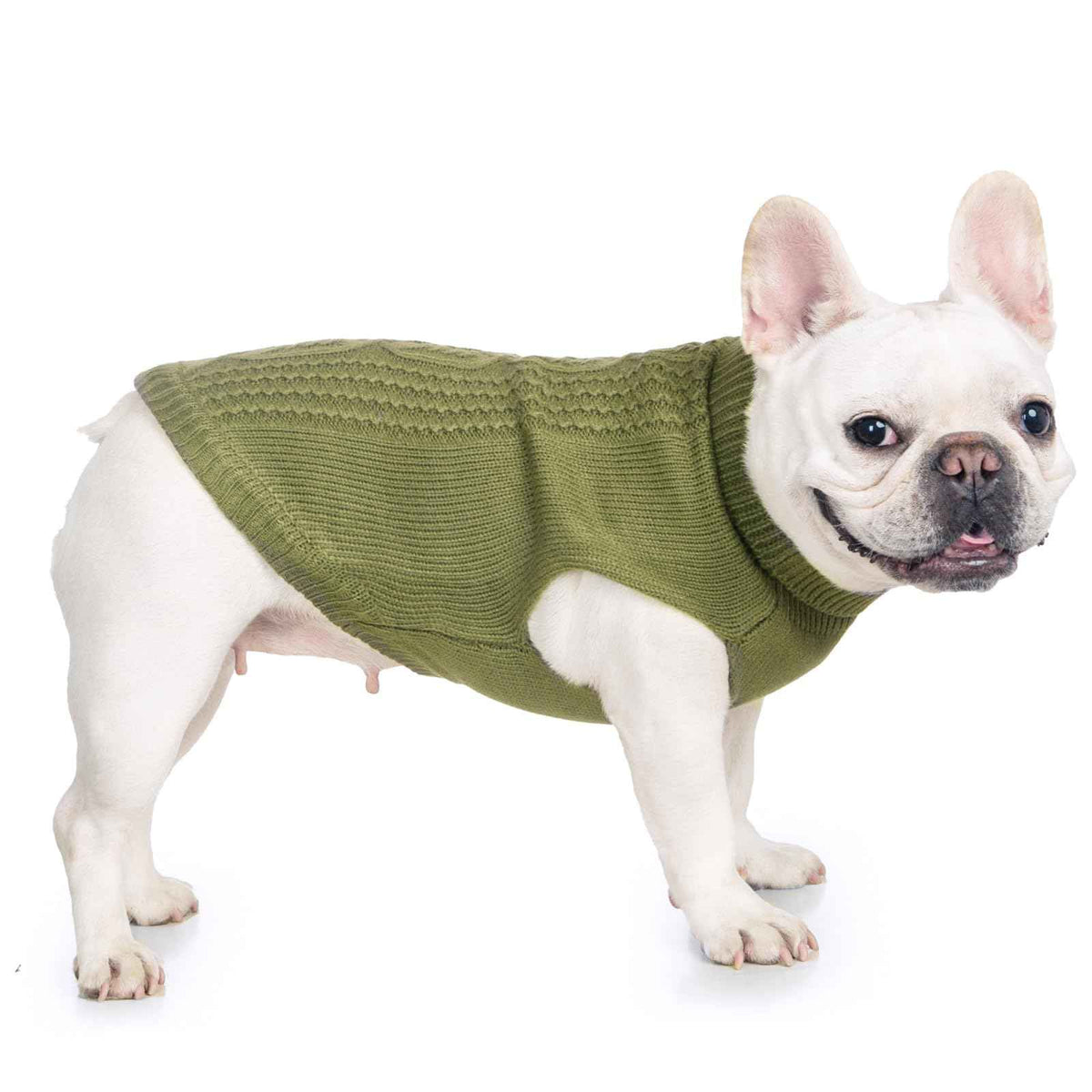 Cat Sweater Stretchy (Olive Green / XXL)