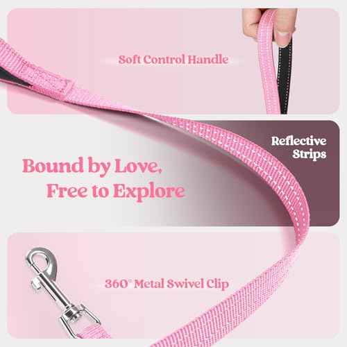 Dog Harness Small Sized and Leash Set (Light Pink / Xxxs (chest: 10.8 - 11.8"))