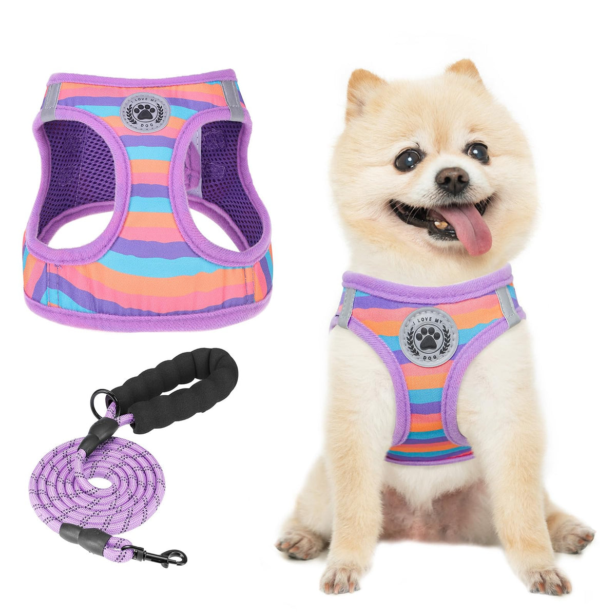 Small Dog Harness and Leash Set (XX-Small(Chest Girth 11.5"-13") / Purple_Stripe)