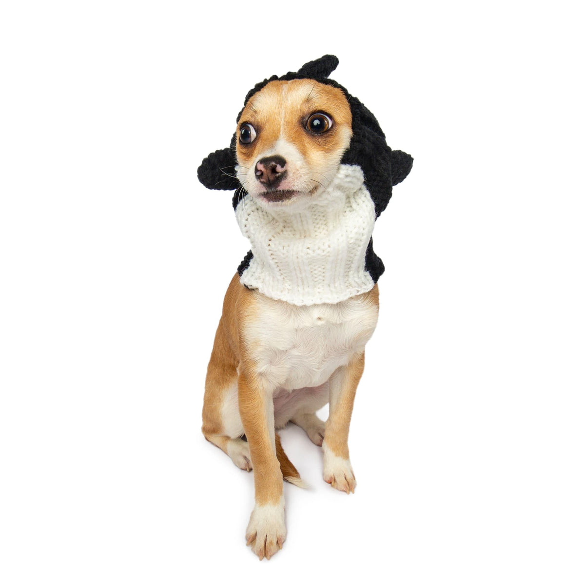 Orca Costume Warm Knit Dog Snood Wrap for Pets (Small / Orca)