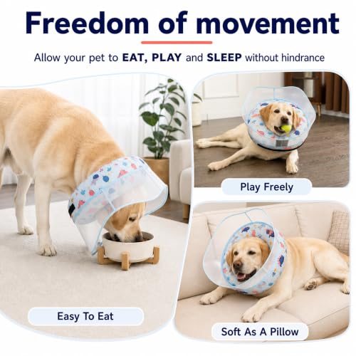 Inflatable Dog Cone Collar for Large Medium Small Dogs (Dinosaur / Medium)