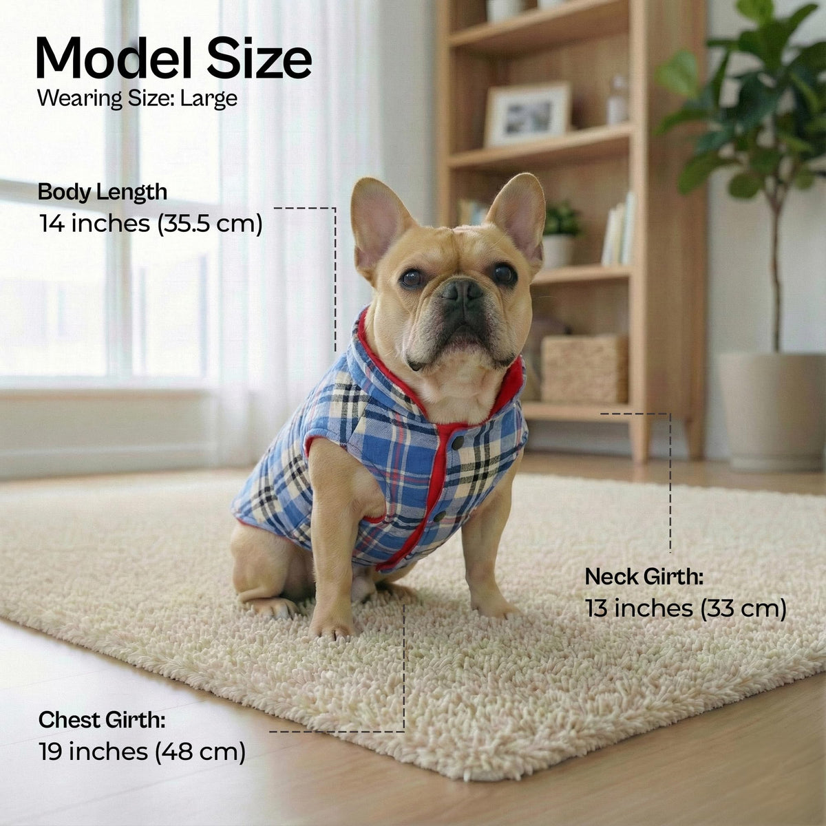 Dog Reversible Jacket (2XL / Plaid Reversible Jacket)