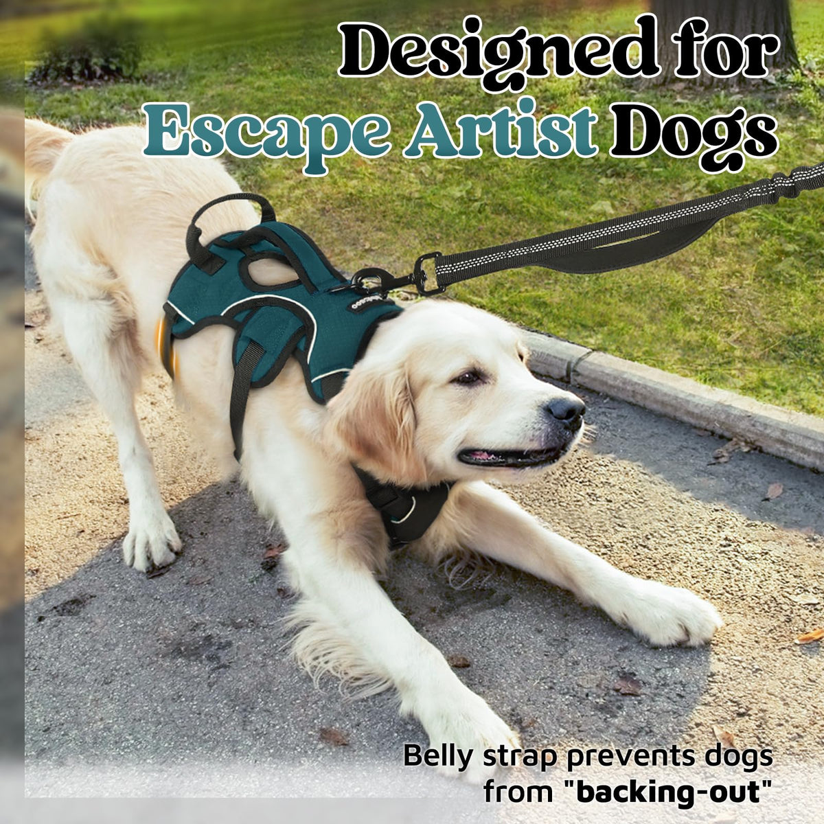Escape Proof Dog Harness for Medium (Dark Green / Medium)