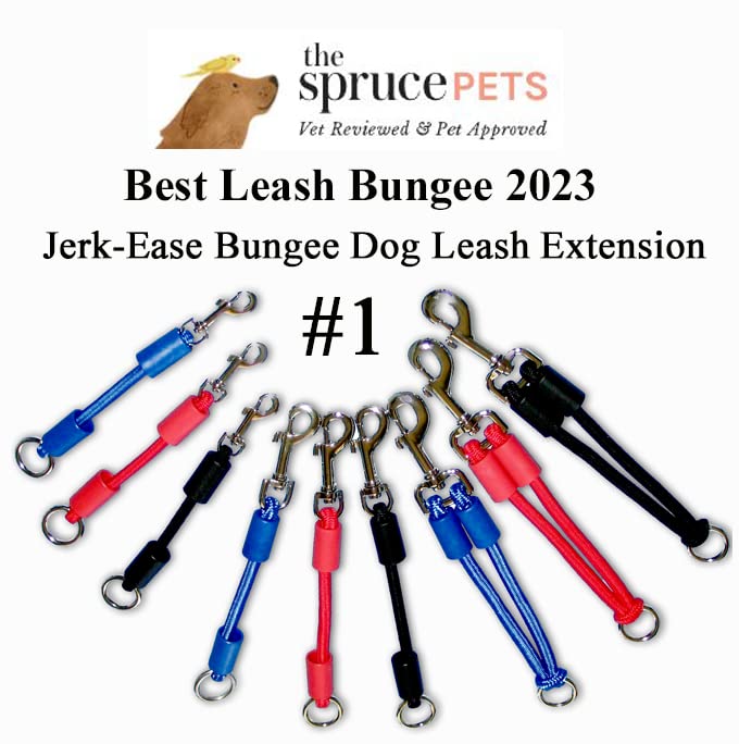 BUNGEE DOG LEASH EXTENSION (Large (up to 110 pounds) / Red)