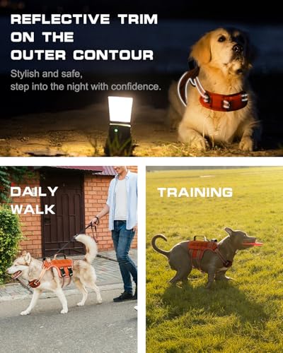 Dog Harness Tactical No Pull for Small Sized Dog with Handle (Orange / S(Neck:16-22",Chest:20-28"),18-35 lbs)