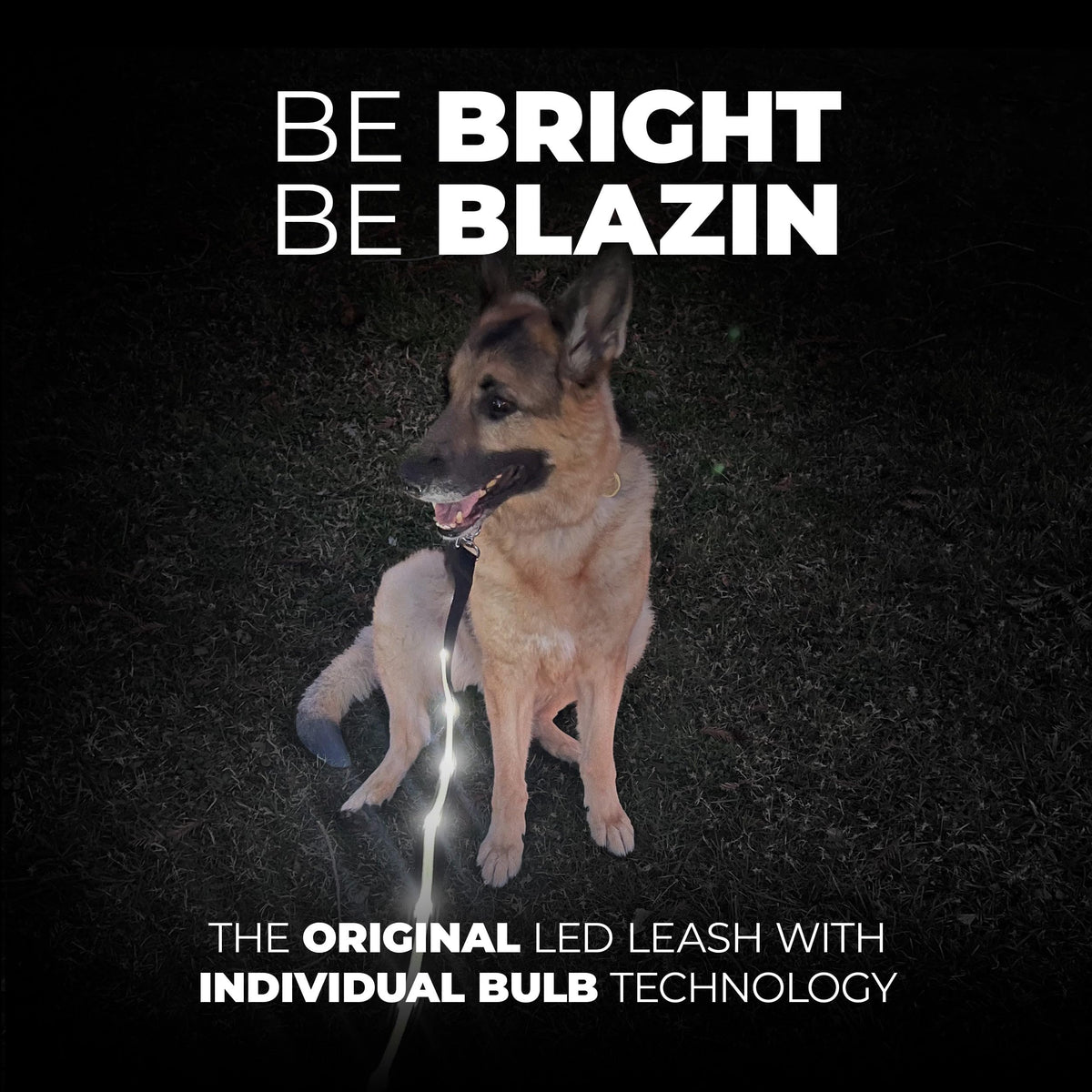 Light Up Dog Leash LED Dog Leash