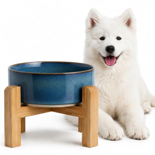 Elevated Ceramic Dog Bowl with Bamboo Stand (Deep Blue / 3.6Cup)