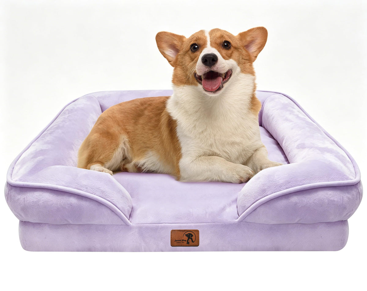 Orthopedic Dog Bed with Sides (28.0"L x 23.0"W x 6.5"Th / Purple)