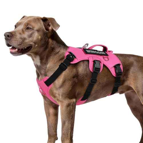 No Escape Dog Harness (Hotpink / Medium: 30-50 lbs (Chest:24-28",Neck:17-19"))