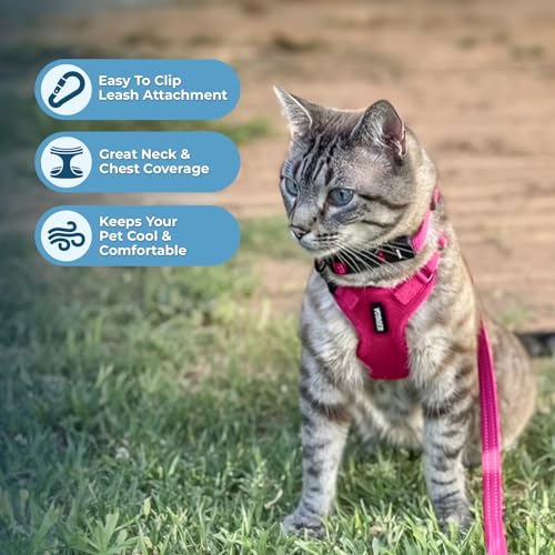 Voyager Step in Lock Cat Harness & Leash Set (Fuchsia / XXXS (Chest: 10.5 - 13"))