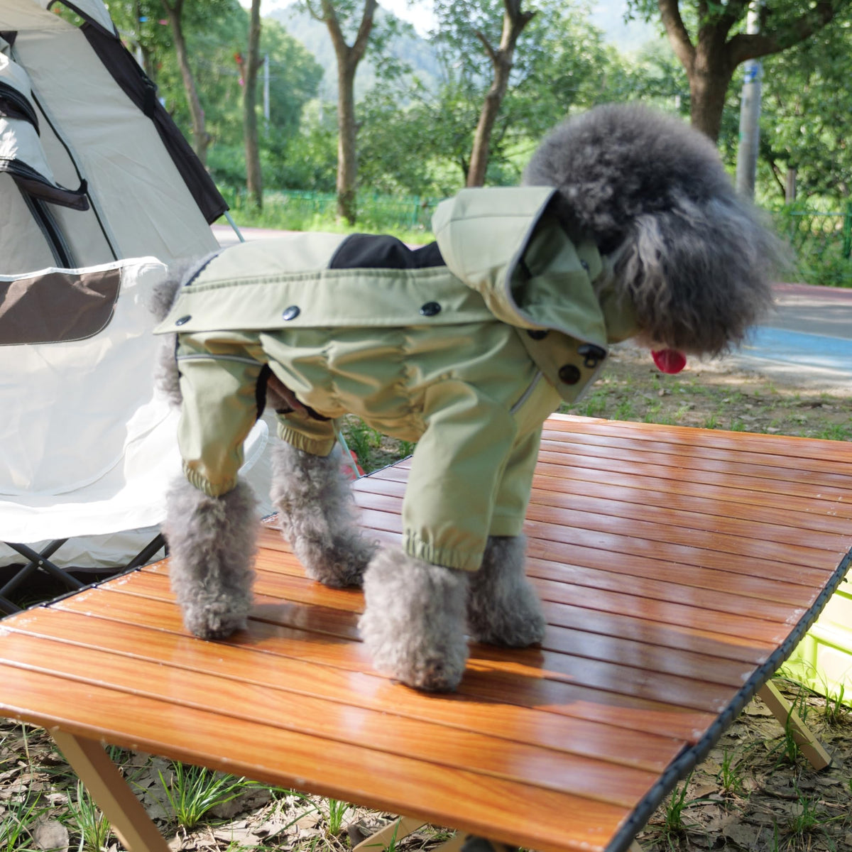 Fleece Lined Dog Raincoat with Removable Hood (Sage Green Fleeced / XL (Back 18"))