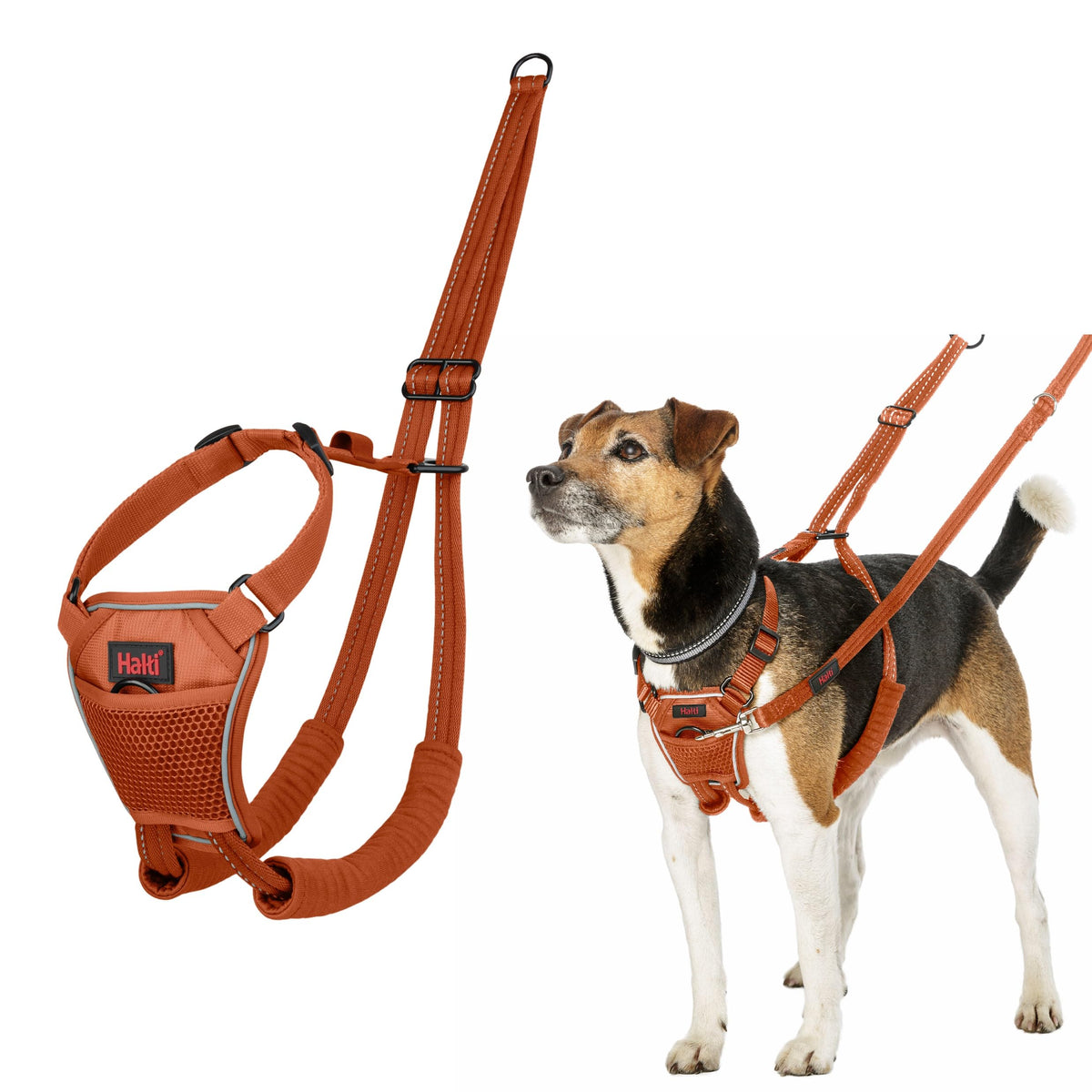 No Pull Dog Harness (Burnt Orange / XS)