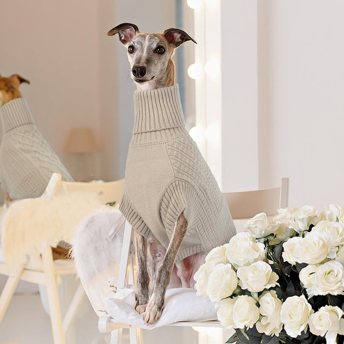 Small Dog Sweater (Apricot / Small)