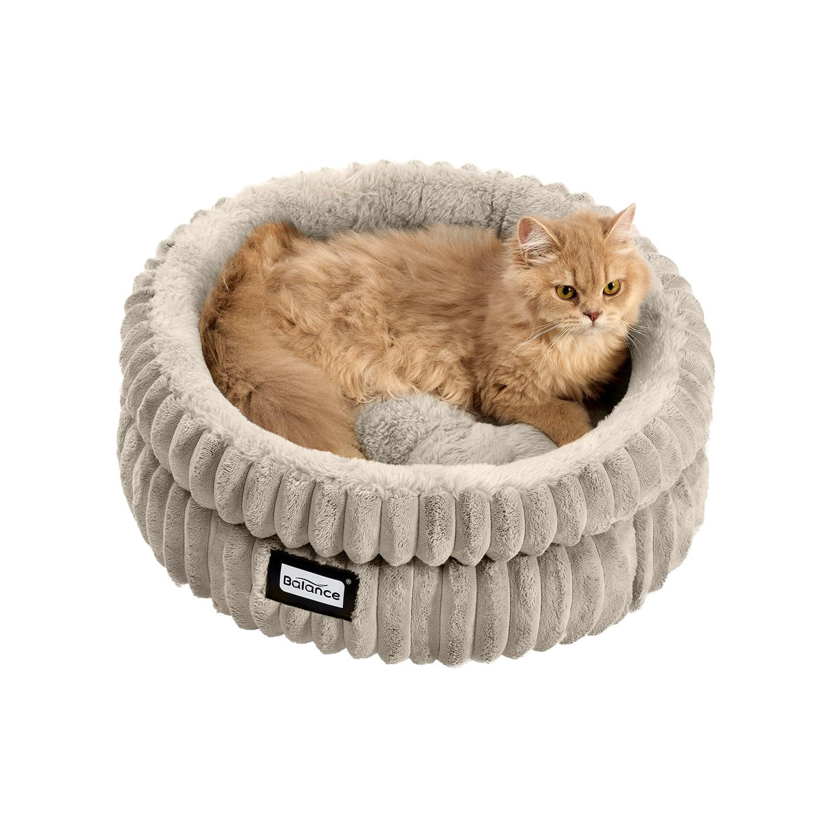 Cat Bed Kitten Bed (20.0"L x 20.0"W x 8"Th / Wind Chime)