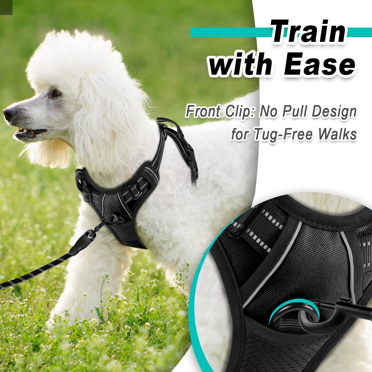 Dog Harness for Small Sized Dog No Pull 2 Leash Clips Dog Vest (Black / X-Small)
