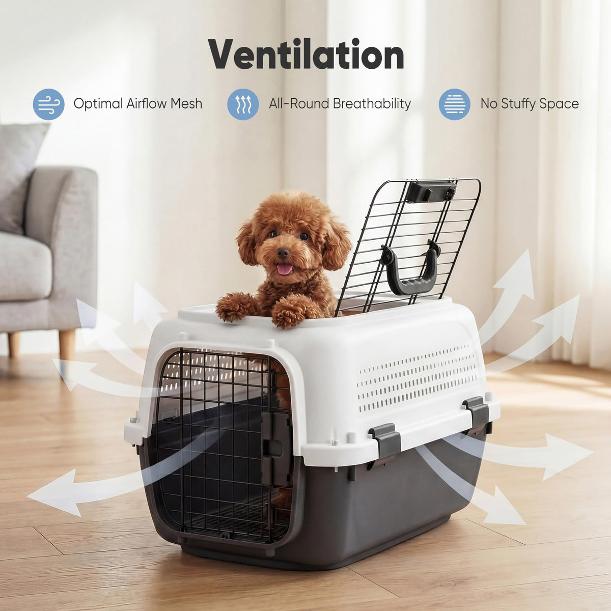 23" Hard Sided Pet Carrier for Small Pets (White & Black / 22.4"L x 14.6"W x 13.0"H)