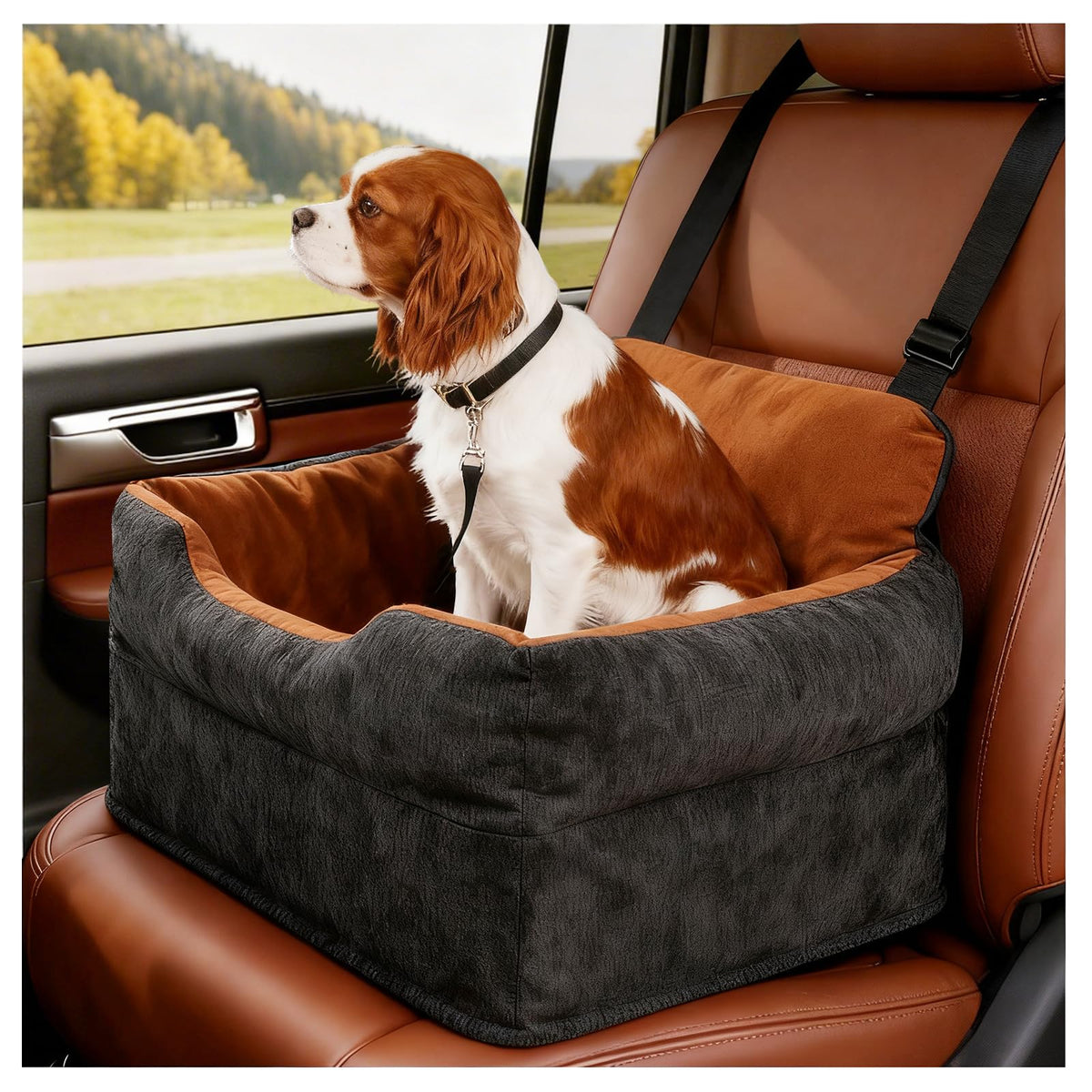 Dog Car Booster Seat for Small (Black)