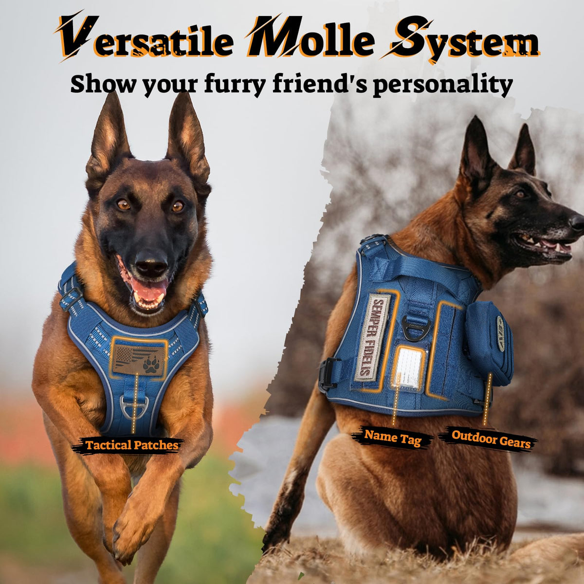 Tactical Dog Harness for Small Dogs (S(Chest:16.1"-31.5",Neck:15.4"-21.6",Back:7.1") / Blue)
