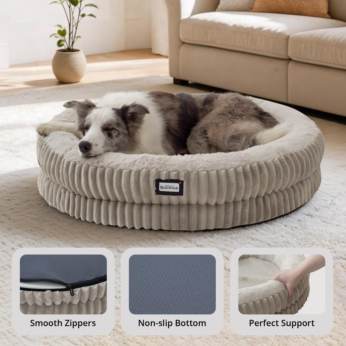 Donut Dog Bed (36.0"L x 36.0"W x 7.5"Th / Wind Chime)