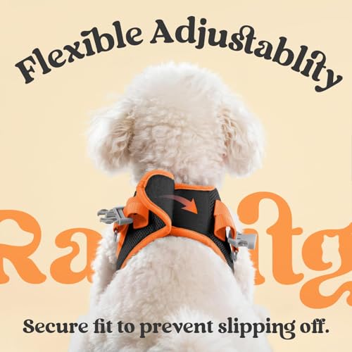 Dog Harness Small Sized and Leash Set (Black & Orange / L (Chest: 18.2"-20.5"))