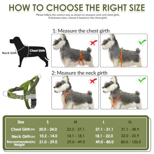 No Pull Dog Harness and Leash Set (Green / Small)