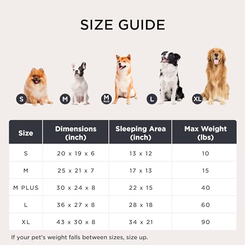 ComfyFleece® Cute Dog Bed for Small Dogs & Cats Washable (20.0"L x 19.0"W x 6.0"Th / Blue)