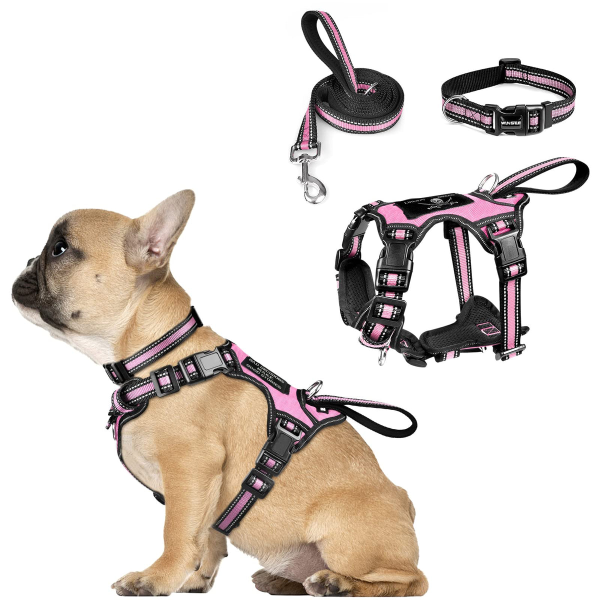 Pet Harness Collar and Leash Set (Small / Pink)