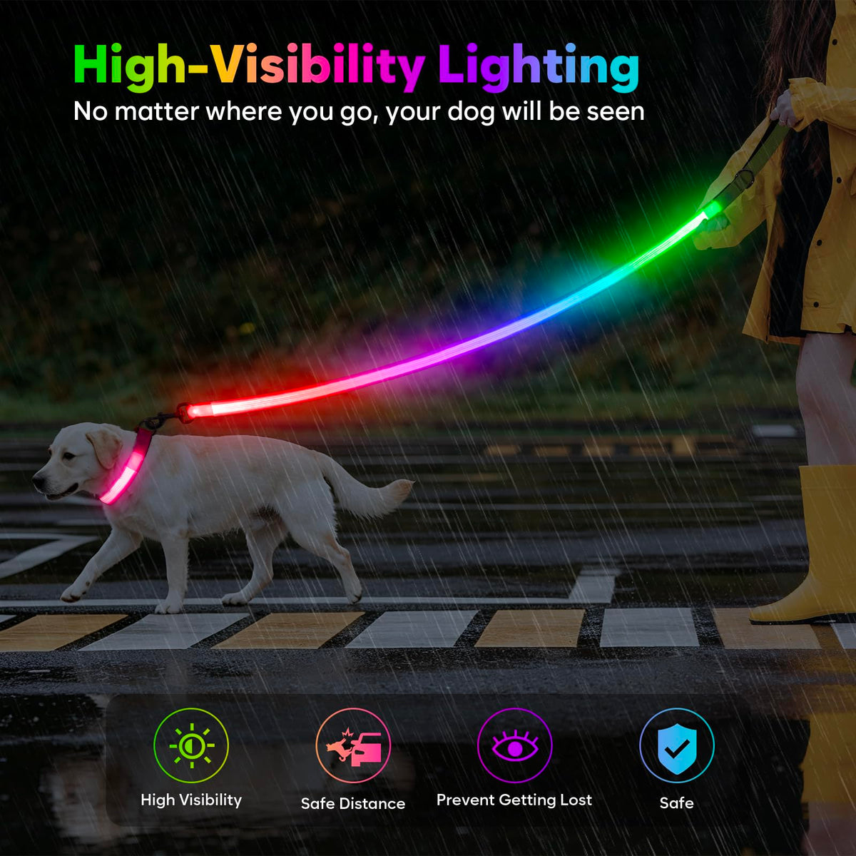 4 Ft Multi Color Light up Dog Leash (Multi-Color / 4 FT (Green))