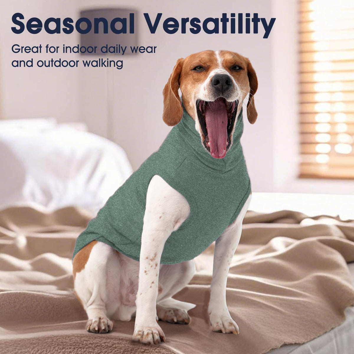 4XL Dog Sweater (XXXX-Large / Green)