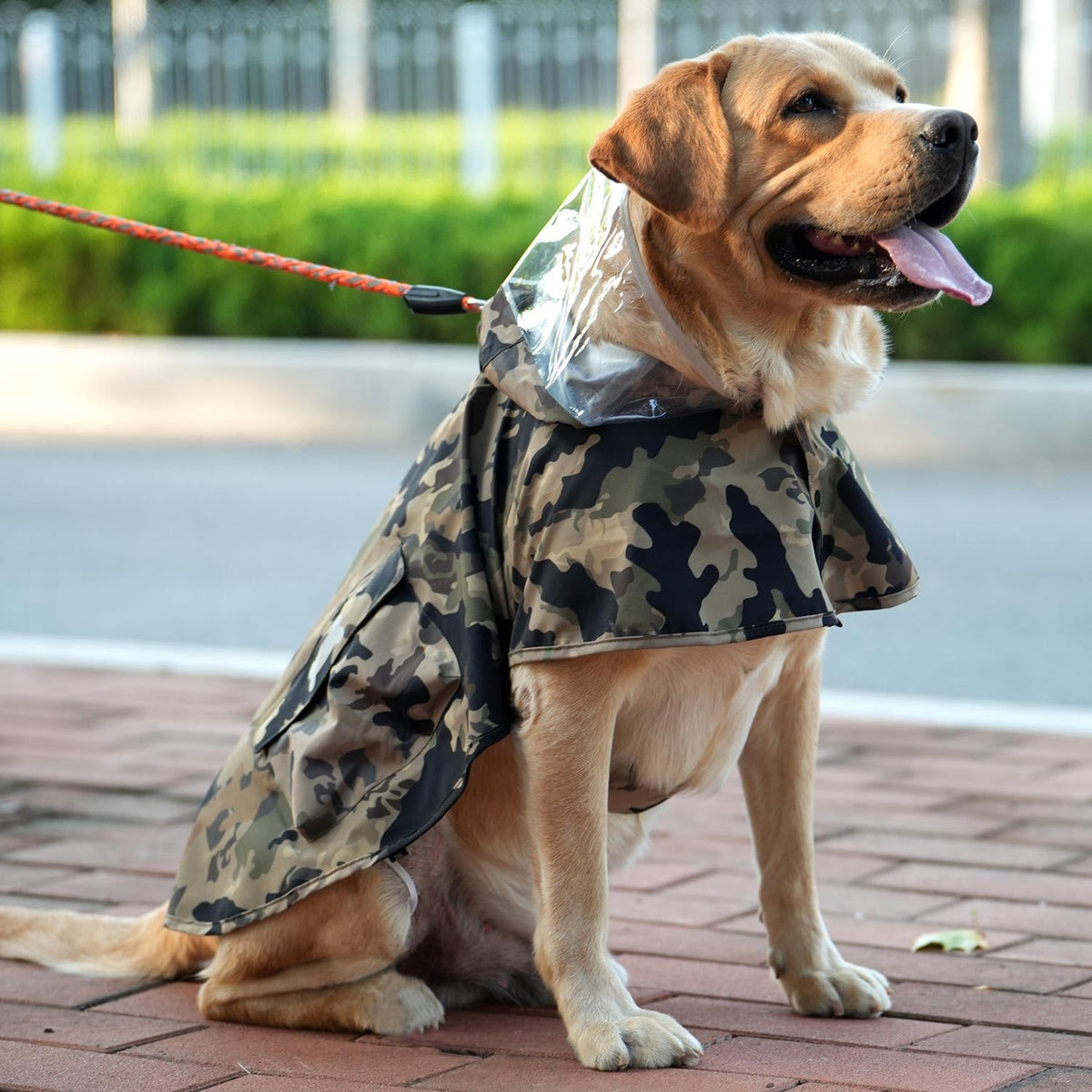 Waterproof Dog Raincoat (Camo / Small)