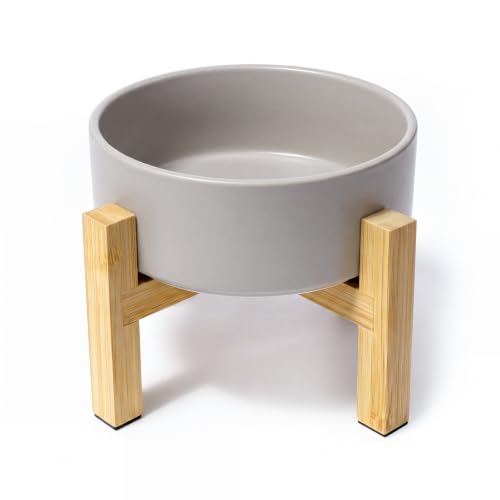 Raised Dog Bowl (Small / Grey)