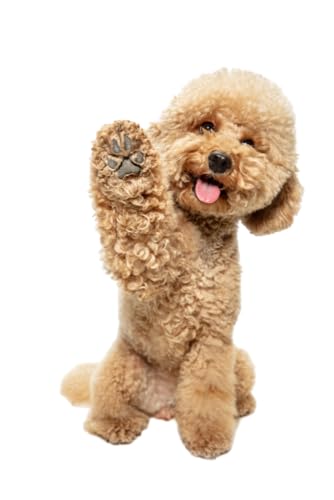 Dog T Shirts for Small Dogs (Picklepaw / Large)