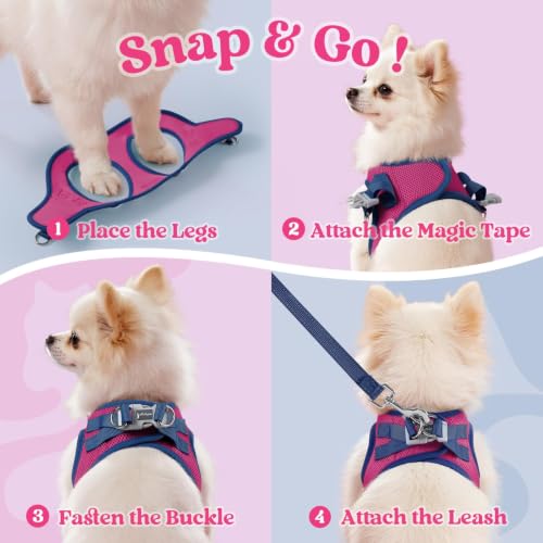 Dog Harness Small Sized and Leash Set (Rose Red & Navy Blue / XXS (Chest: 12.4"-14.2"))