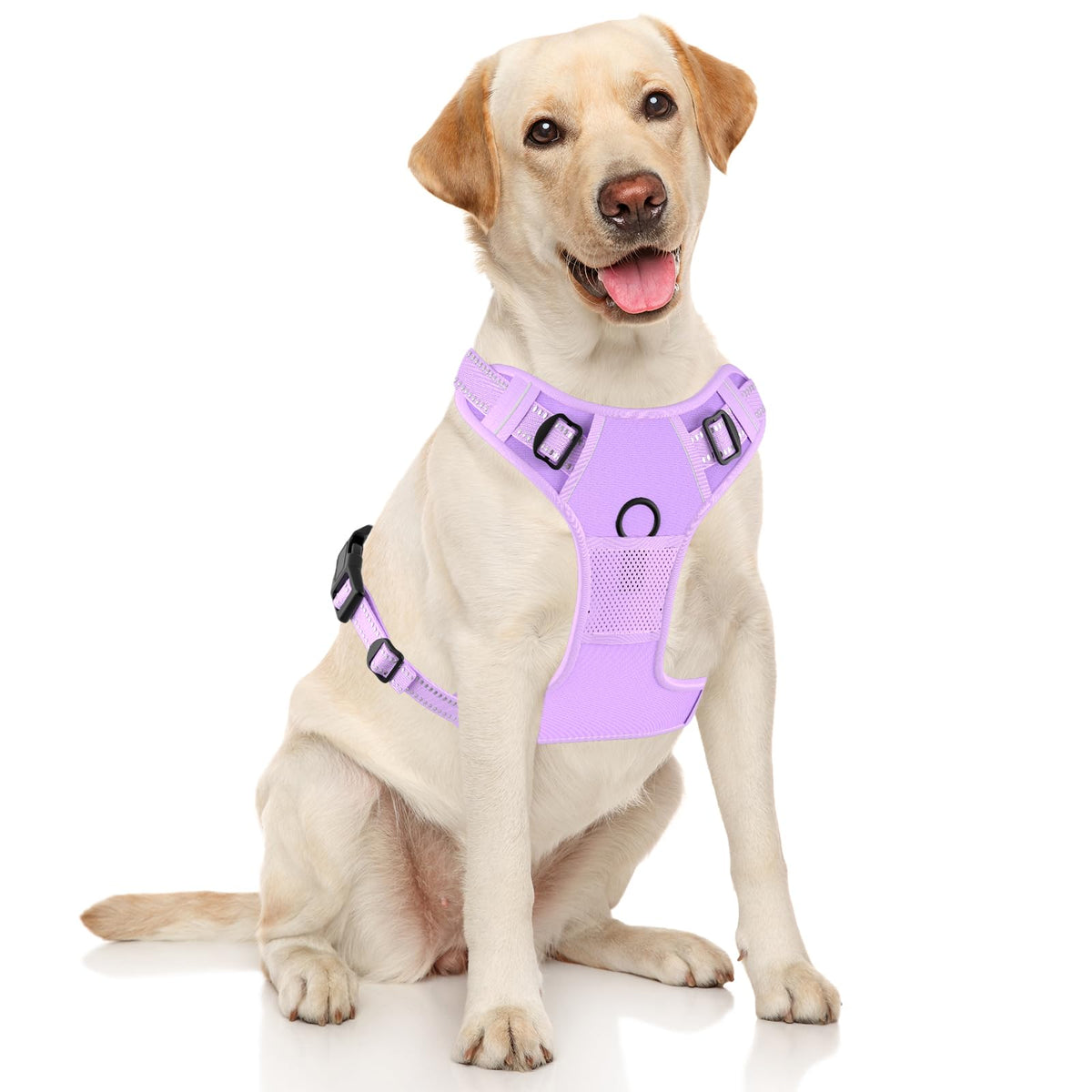 No Pull Dog Harness (Z-Purple / Medium)