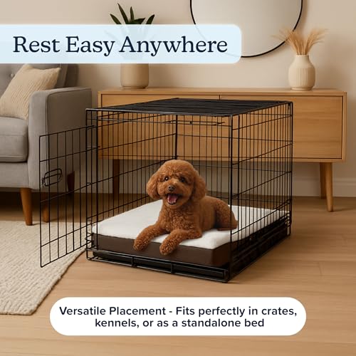 Orthopedic Dog Bed (Brown / Small)