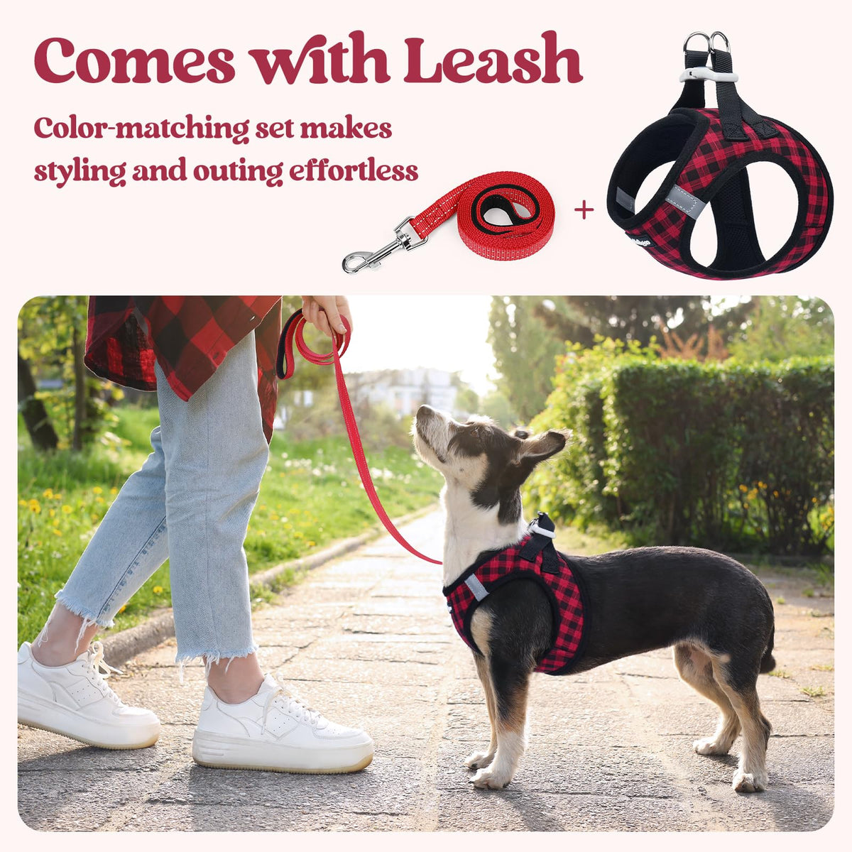 Dog Harness Small Sized and Leash Set (Red Check / Xxs (chest: 12.4 - 14.2"))
