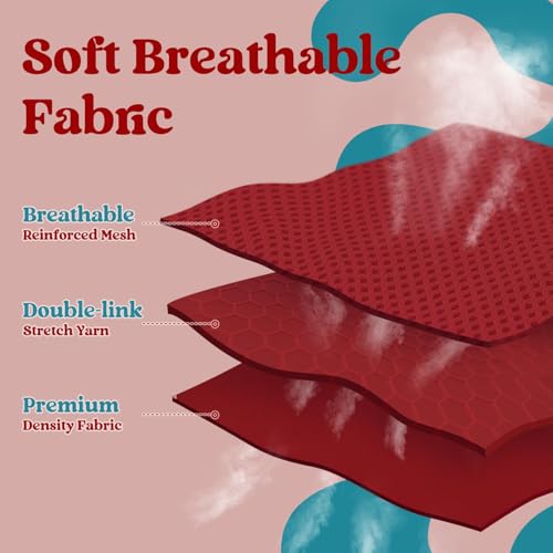 Dog Harness Small Sized and Leash Set (Red & Teal / XS (Chest: 13.3"-15.5"))