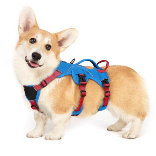 Escape Proof Dog Harness for Small (Red & Blue / Small)