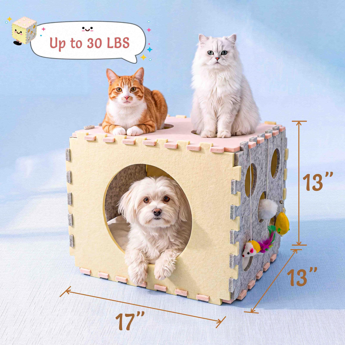 41 Pcs Interactive Cat Toys for Indoor Cats (Retro Brights)