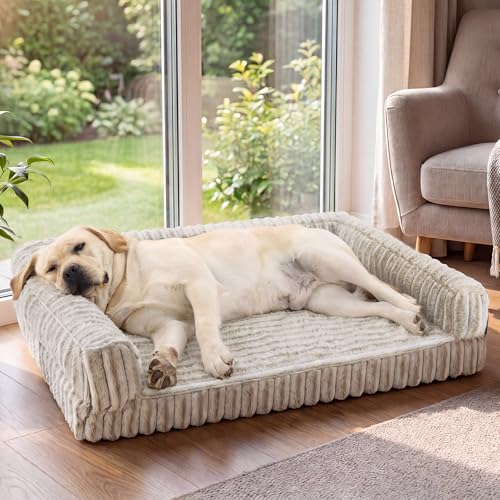 ComfyFleece® Memory Foam Orthopedic XL Plus Dog Bed 45" (Amphora / 45.0"l X 32.0"w X 7"th)