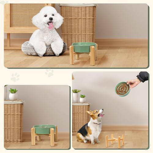 Elevated Slow Feeder Dog Bowl (Green / 1.5 Cups)