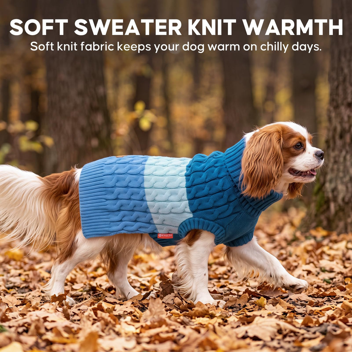 Turtleneck Dog Sweater for Small Dogs Color Block Thermal Knit (Small / Blue)