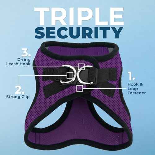 Voyager Step in Air All Weather Mesh Harness and Reflective Dog 5ft Leash Combo with Neoprene Handle (Purple/Black Trim / S (Chest: 14.5 - 16"))